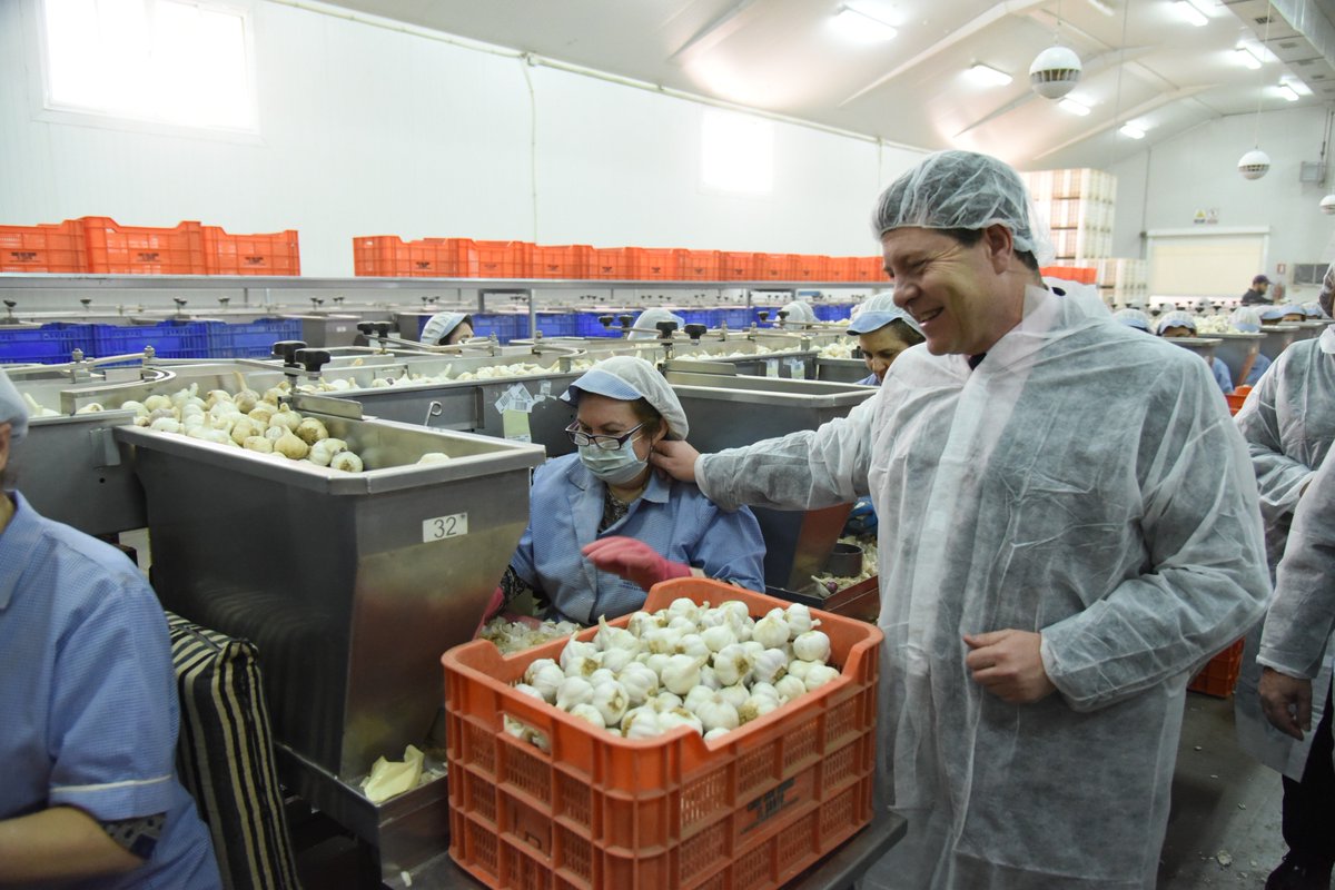 Gobierno de Castilla-La Mancha tweet media