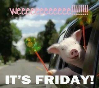 shipldi's tweet photo. Happy Friday Everyone!!! #happyfriday #fridayfeeling #fridayfunny #tgif #friday #3pl #teamldi https://t.co/ktrkXw3HWC