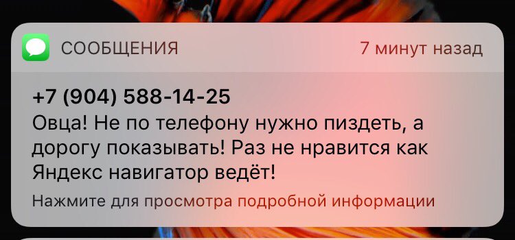 Doll_Murder's tweet image. Не успела оставить отзыв об @Uber_Russia в приложении, как пришёл фидбэк. Оперативно!