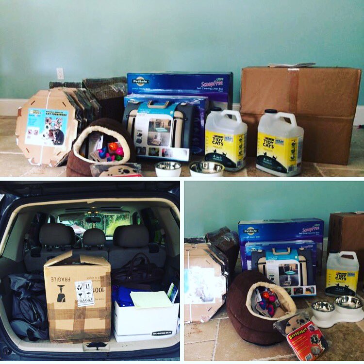 causeforpawsfl's tweet photo. #thankyou #girlscout #troup #10520 #for #all #your #hard #work #causeforpawsfl #nonprofit #adoptdontshop #CatsOfTwitter https://t.co/pN9l5FXu2A