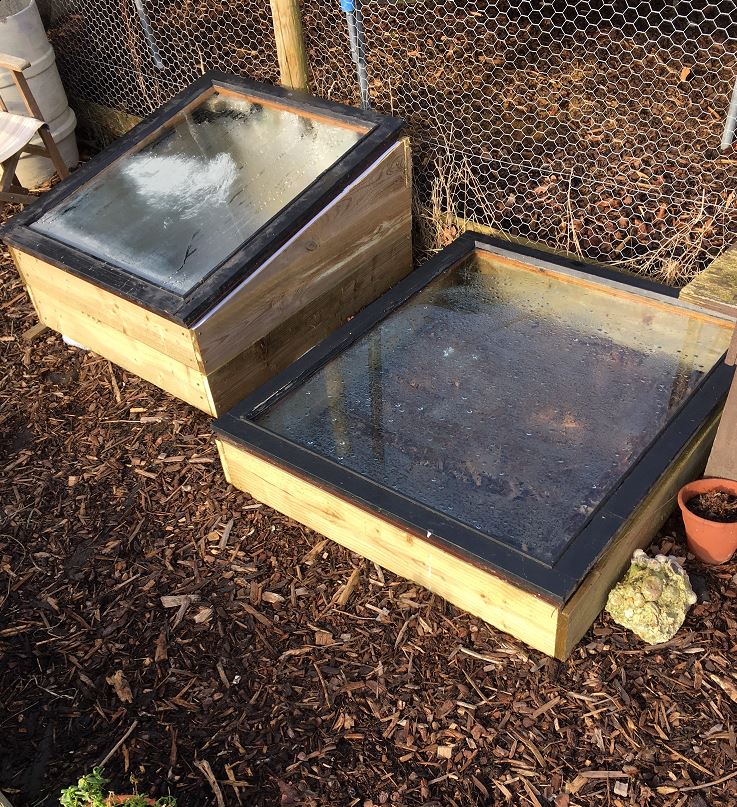 KFSimonBiddulph's tweet image. I'm all for #recycling so I made these #coldframes with old windows. Bring on #Spring - @BBCSpringwatch @montysdognigel @TheMontyDon