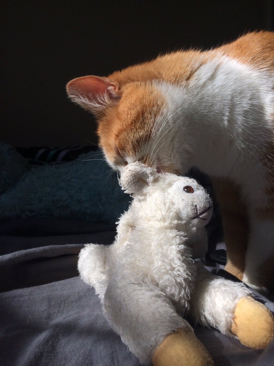 LkwdLamb's tweet photo. Take a stand for what you believe in! Make a change! Even if all you do is end the day a little cleaner. #WhyIsSheLickingMe #JustUseWater https://t.co/GsiLEKK8hL