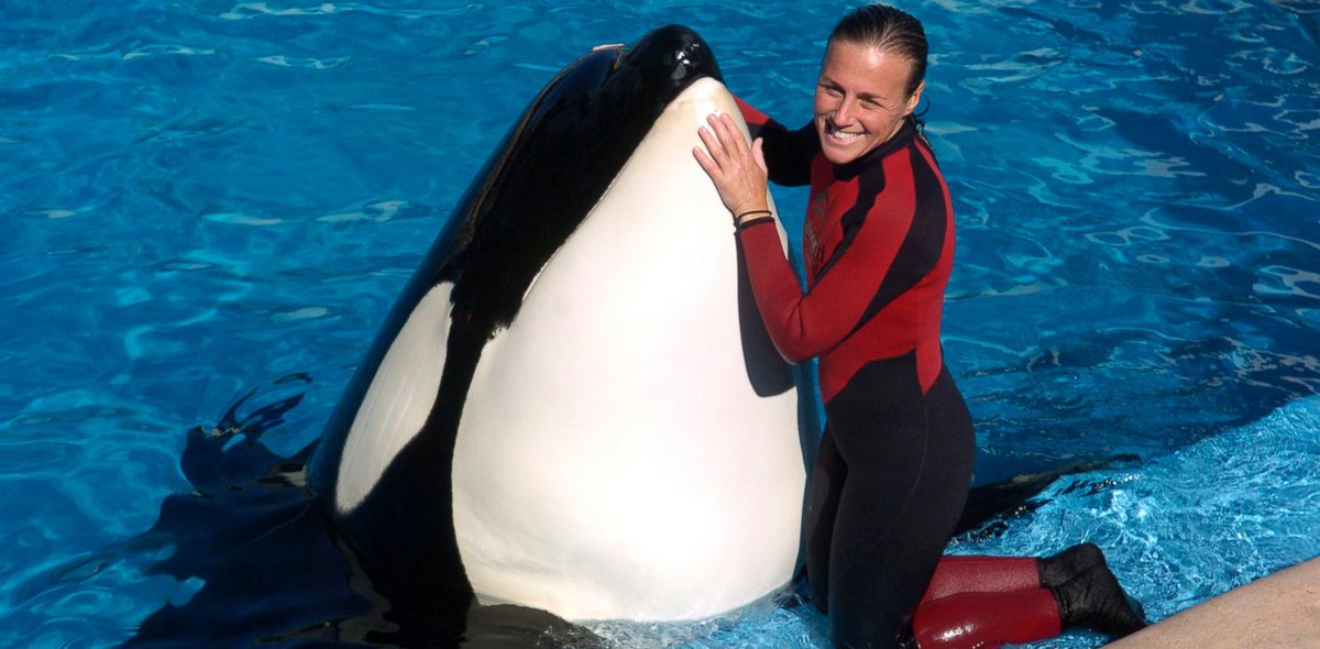 It has been 7 years since Dawn Brancheau passed away. Learn more about Dawn in @blackfishmovie: https://t.co/tTUwQpNeW0 https://t.co/hCWiIMvspx