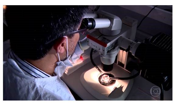LNBio (@bioteclnbio) on Twitter photo LNBio publicou mais um resultado de pesquisa com o vírus da Zika. Avanço foi tema de matéria no <a href="/jornalnacional/">Jornal Nacional</a>. g1.globo.com/jornal-naciona… LNBio publicou mais um resultado de pesquisa com o vírus da Zika. Avanço foi tema de matéria no <a href="/jornalnacional/">Jornal Nacional</a>. g1.globo.com/jornal-naciona…
