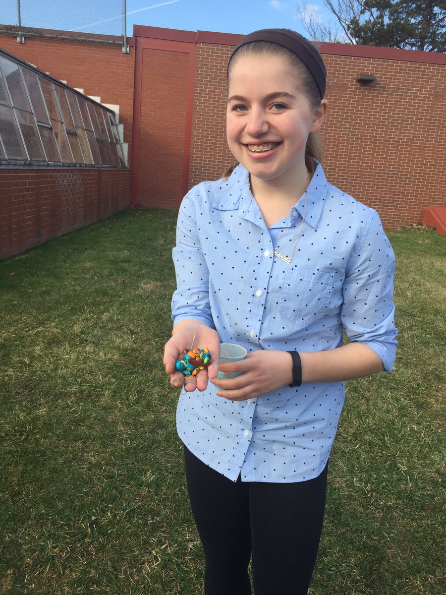 DoctorGalloNA's tweet photo. NAI Biology students are "bird" predators studying natural selection of "worm" prey on this beautiful Friday! #nasdlearns https://t.co/h76lZi758Y