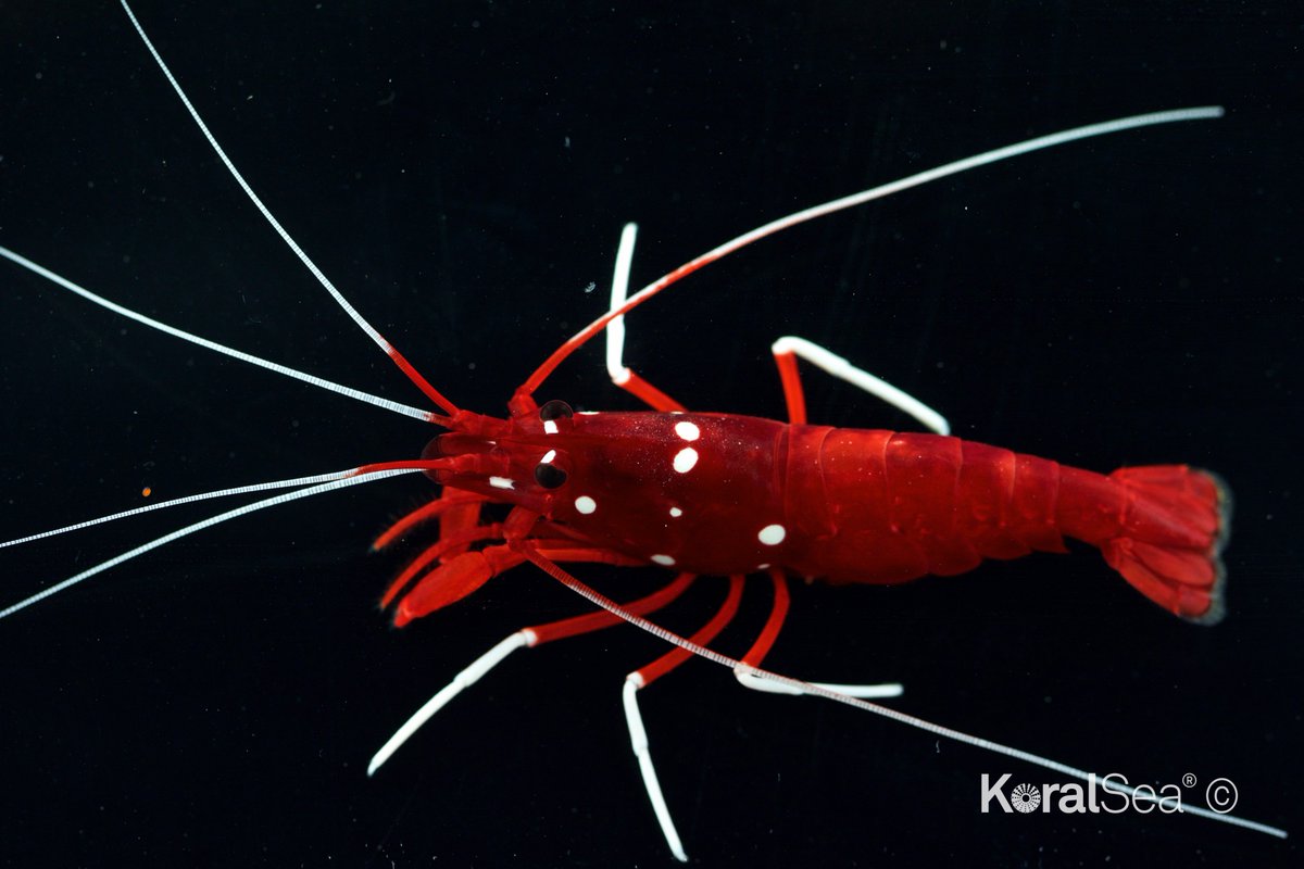 We have that #FridayFeeling