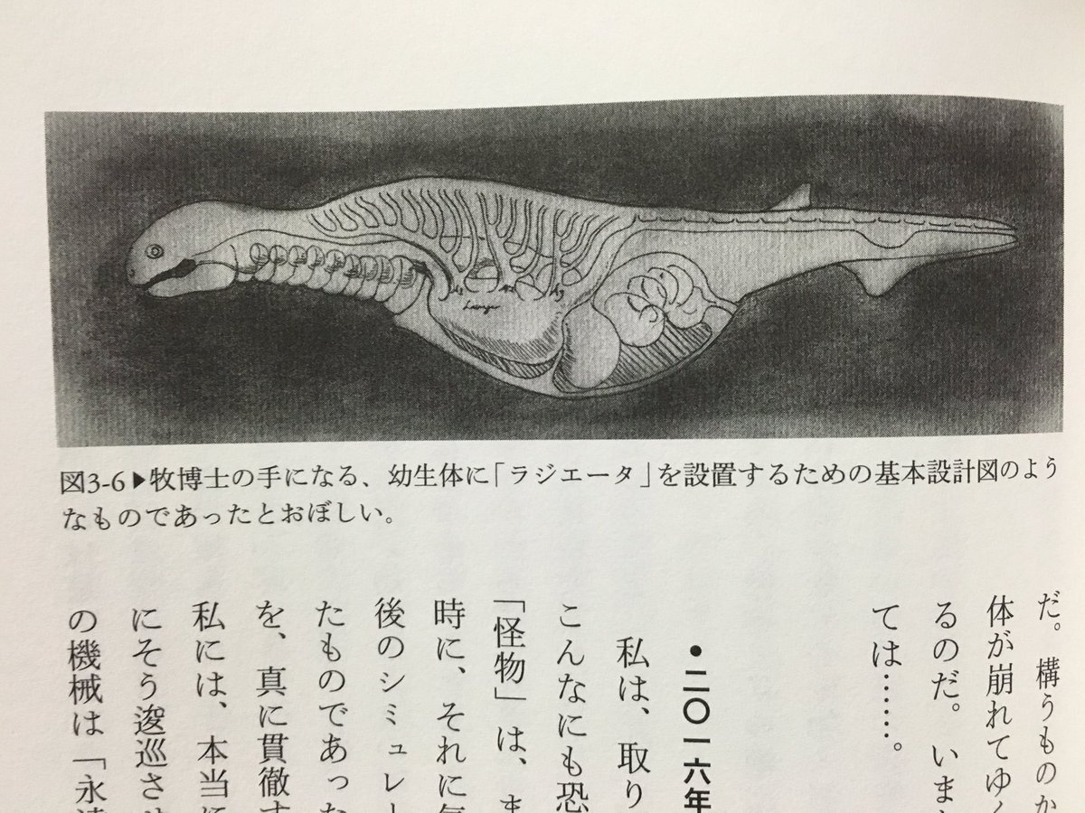 Yoshiyuki Al Twitter 牧教授の記録にあるゴジラの幼生のスケッチが ゴジラとサメには切っても切れない縁が T Co 6t4jrwlsxa Twitter
