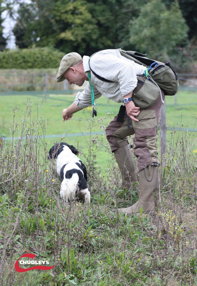 ChudleysDog's tweet photo. Howard Kirby's #TopTrainingTip: "Successful #ChudleysGundogChampionship #dogs will be fast retrievers that are in tune with their handlers." https://t.co/aAjOM1Z4ZF