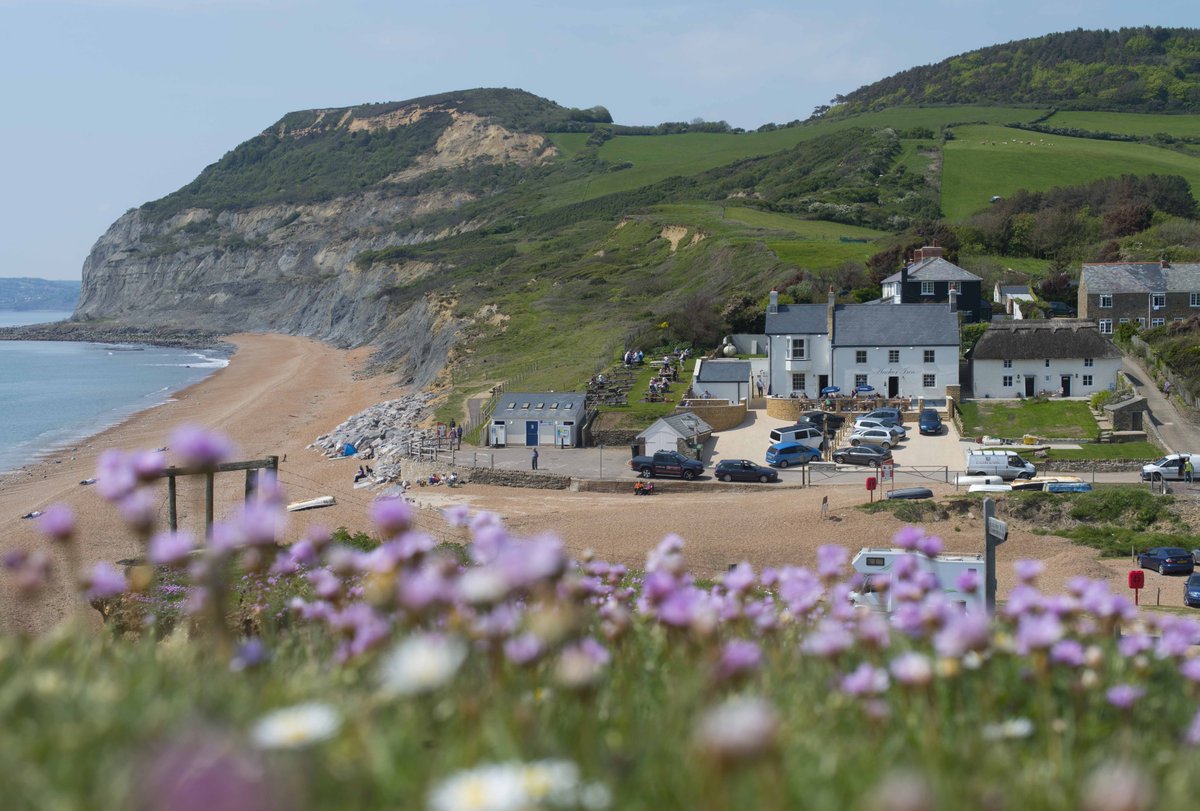 RecruitPalmers's tweet photo. .@AnchorAtSeatown recruiting FOH &amp; KPs for the season @palmersbrewery https://t.co/osPiDsthDI https://t.co/RMtba4OlRB
