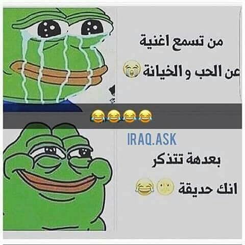 Ali Hussen (@alih24677480) on Twitter photo 