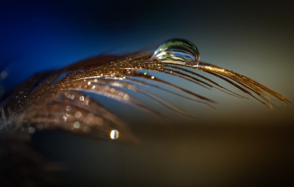 _MACRO_COSM_'s tweet photo. https://t.co/M3e48g4YX6