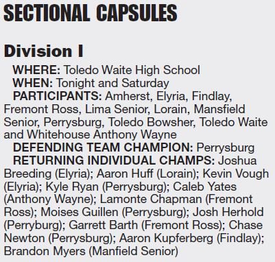 ElyriaAthletics's tweet photo. Good luck at Sectionals @WrestlingElyria! https://t.co/MJ92Qk0eBS