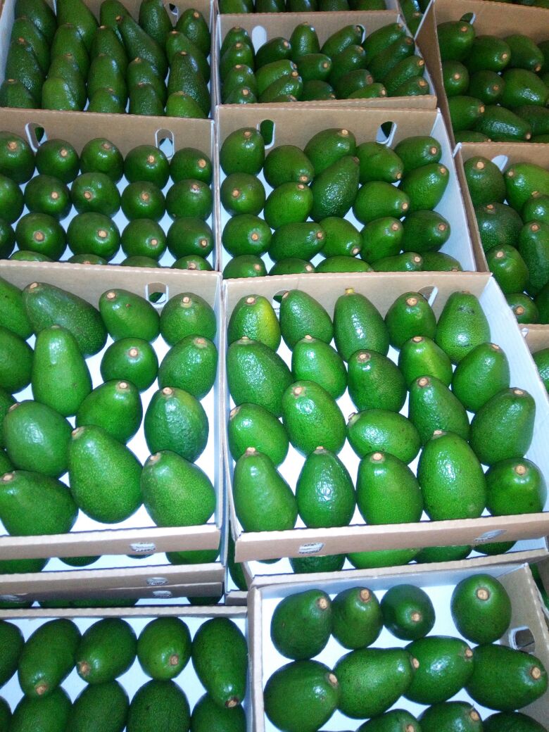 markgrown's tweet image. They are now ready