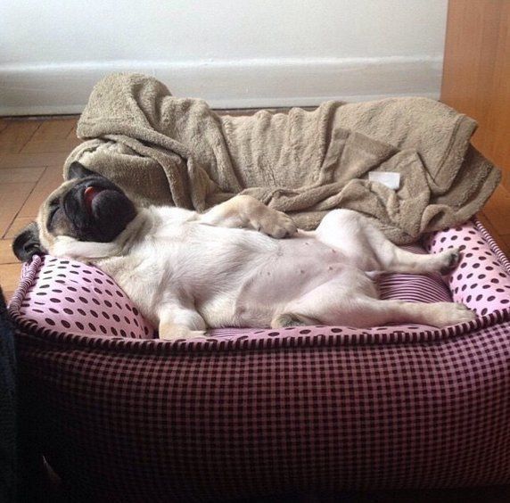 StumblerPopular's tweet image. Me as soon as I get home