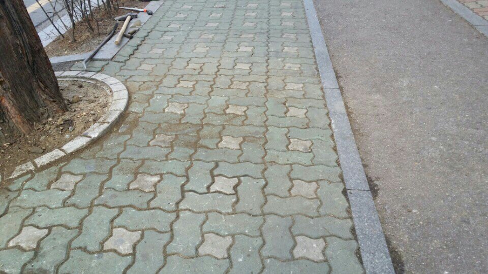 #성남시 #분당구 #구미동 인도위 가로수뿌리돌출로 인하여 보행에 불편을 주었던 구간들을 생육환경정비를 통해 정비하였습니다 
시민의 즐거운 보행에  #녹지공원과 가 함께 하겠습니다^^V