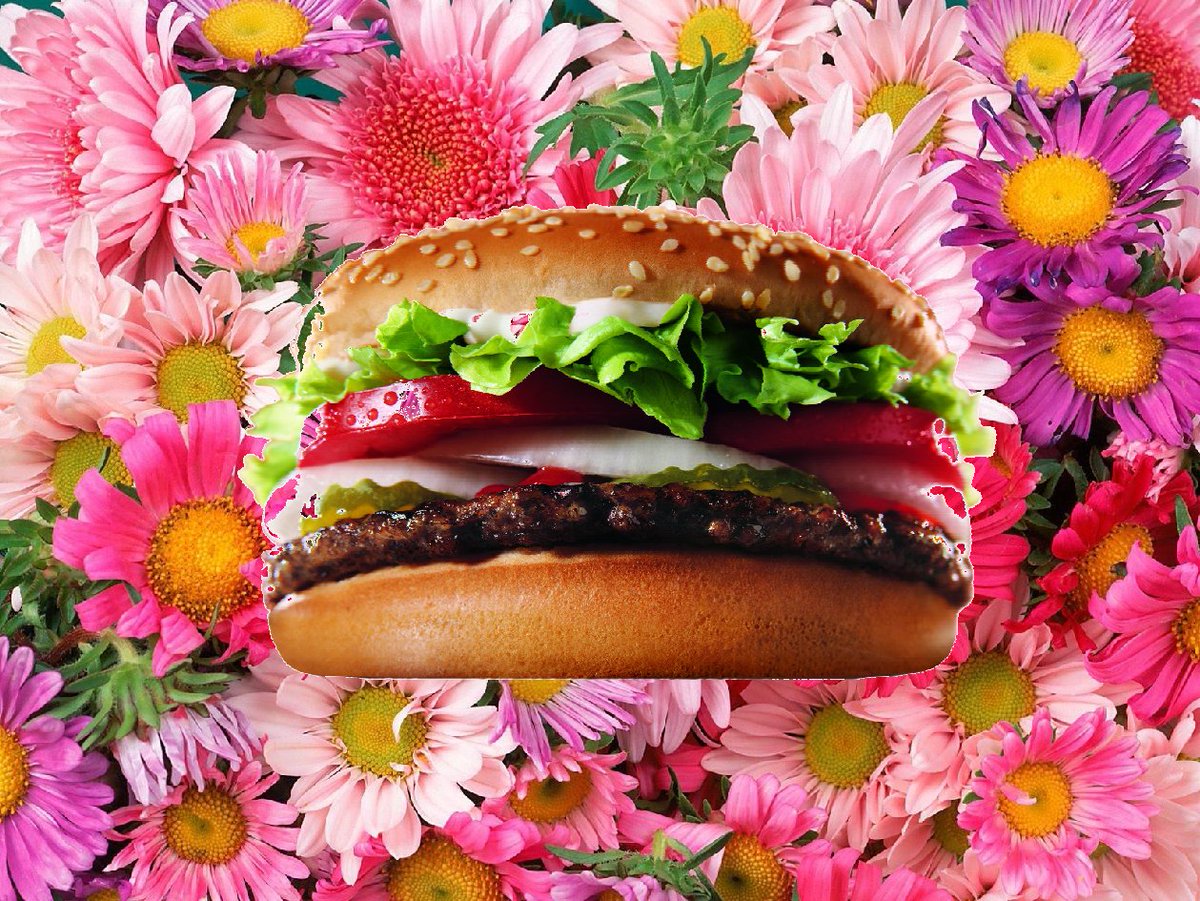 BurgerGametc's tweet photo. Comme le printemps arrive, des burgers tu mangeras
#vivelesfleurs https://t.co/gb3j7WSUWZ