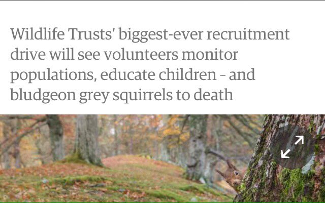 Robbie Lewis tweet media