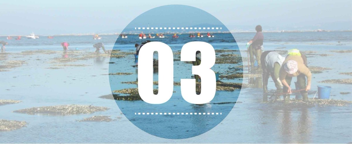 EU_FAMENET's tweet image. Now is the time to say your nostalgic goodbyes to FARNET's current website. Get a last look for that extra wow factor on Monday!