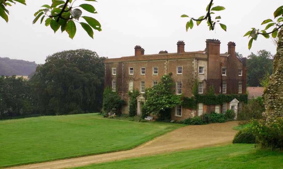 Norfolk Olive Trees tweet media