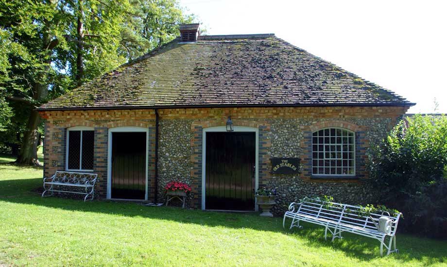 Norfolk Olive Trees tweet media