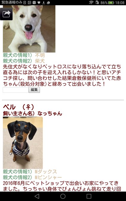 ミックス犬図鑑 Mixken Zukan 17年05月 Twilog ミックス犬図鑑 Mixken Zukan 17年05月 Twilog