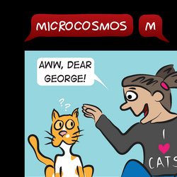 MicrocosmosM tweet picture