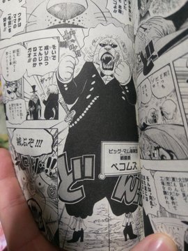 ワンピース ペコムズは死亡した その後の行方や生きてる可能性を考察 大人のためのエンターテイメントメディアbibi ビビ