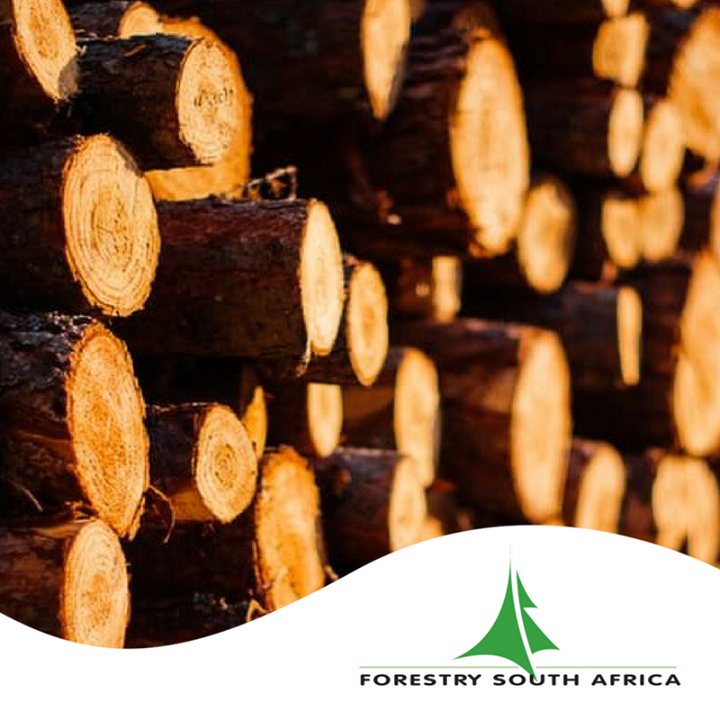 Forestry SA tweet media