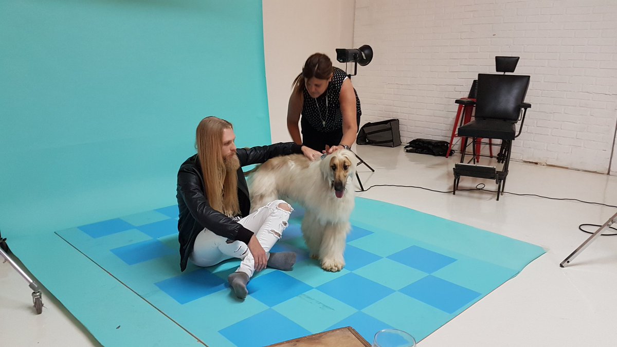 FLatelier's tweet photo. Backstage animal 🐕  para un  nuevo producto para la salud y la belleza de nuestras mascotas 🐈🚿

#flatelier #artdirector  #argentina https://t.co/0uwFtfCS9w