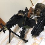 あの エアガンで猿と戦う主婦のイラスト がgifアニメになった 日々のストレスが表現されてる どう見てもエアガンでは Togetter