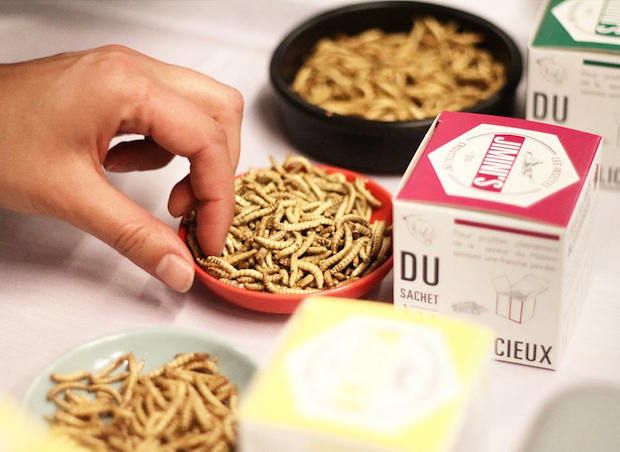 RomainPassilly's tweet photo. Jimini’s lève 1 million d’euros pour remplacer vos steaks par des insectes https://t.co/WE4HJJkEHv #InsectTech https://t.co/lA6t86d5Vj