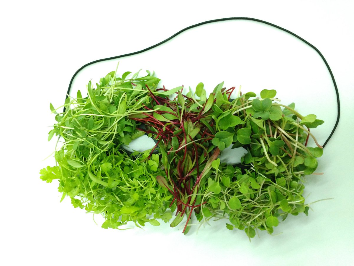 DelaterraG's tweet photo. Enjoy your #microgreens . Available now!!!! #Caracas #Venezuela https://t.co/dtyqAIb6La