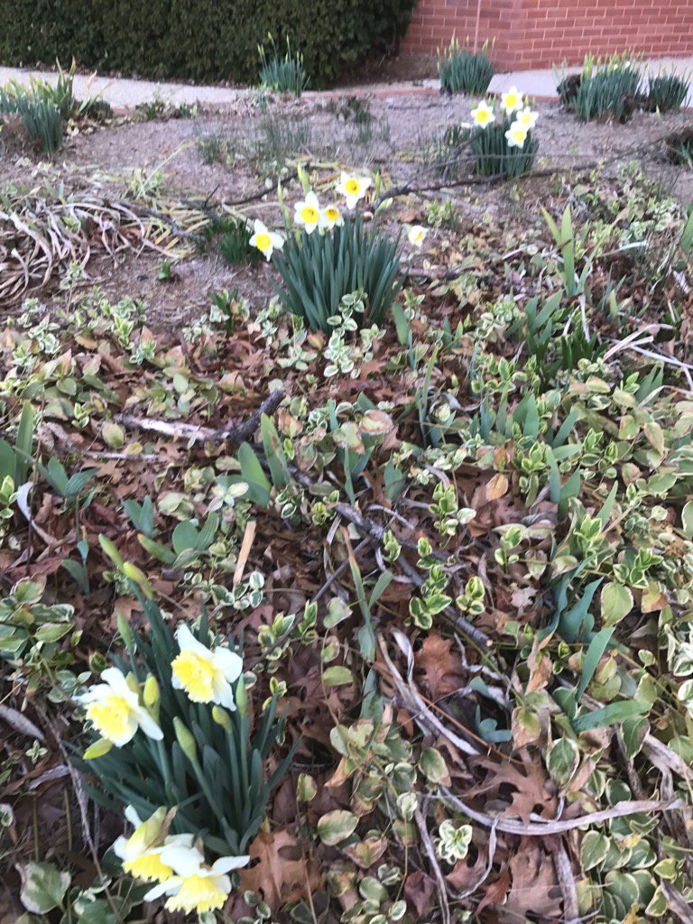 I'm still in Maryland… It's still February, right?