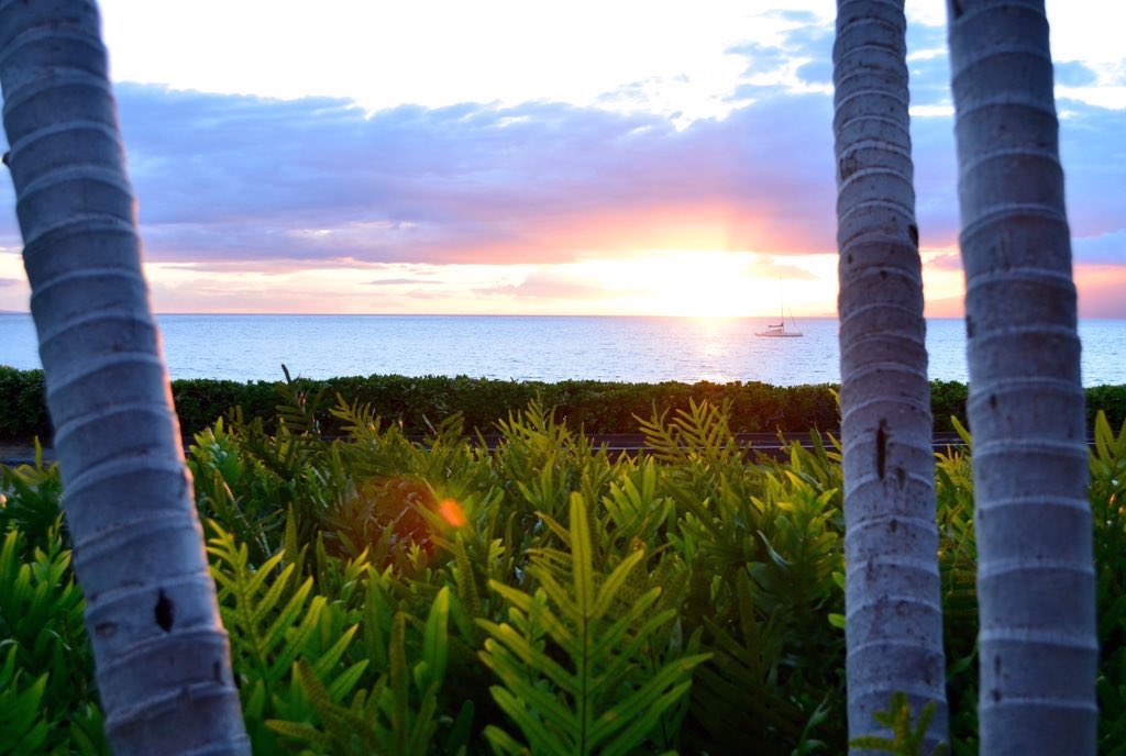 iIoveaesthetics's tweet photo. Maui, Hawaii 😍 https://t.co/T7y5tjC7am