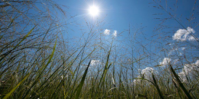 DuPontSustainability tweet media