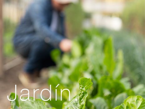 donde_compro's tweet photo. Lo mejor para tu jardín lo puedes encontrar en @Zanvic #TiendaOnline #jardineria https://t.co/eU9AYk6BTh https://t.co/y3IxZ1Hlfj