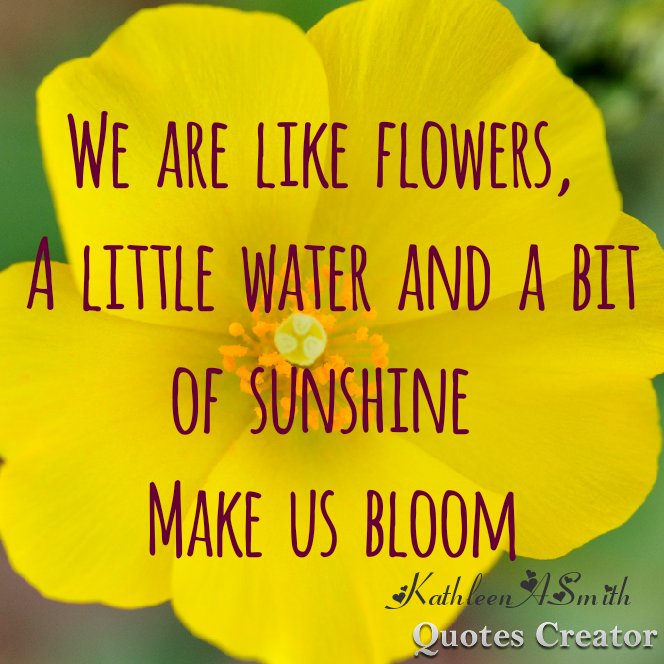 Kari Joys MS (@karijoys) on Twitter photo Unconditional #LOVE helps us to #Bloom like flowers in the sunshine! #JoyTrain #Joy #Shine RT <a href="/PositivityShine/">Positivity Shines</a> Unconditional #LOVE helps us to #Bloom like flowers in the sunshine! #JoyTrain #Joy #Shine RT <a href="/PositivityShine/">Positivity Shines</a>