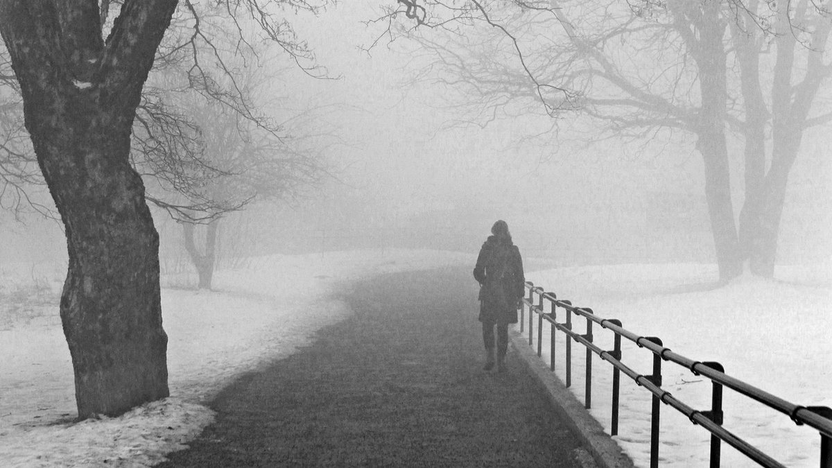 Sjekk ut Instagram-blinkskuddene fra tåke-Oslo ow.ly/MRf0309jTDH