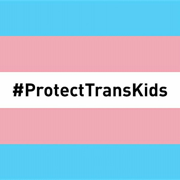 MarliMusic's tweet photo. #ProtectTransKids https://t.co/BSRCVgddkL