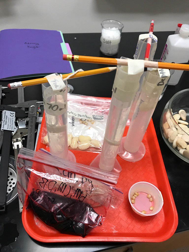 debrajknight2's tweet photo. Ss created some amazing seed experiments! #adobems https://t.co/ytyDNIxfdZ