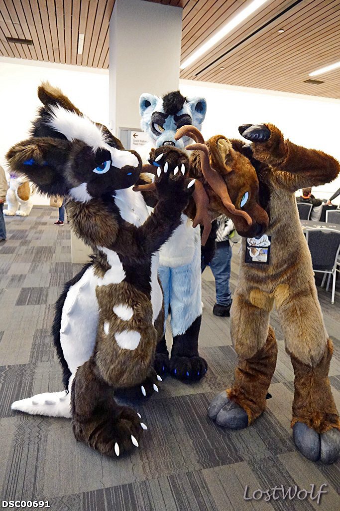 looks like @NaviSerpent is having a bite of <a href="/IskElk/">Iskande Elk</a> &amp; @MizuFerret is watching <a href="/furcon/">Further Confusion "The Beach Episode"</a> #FC2017