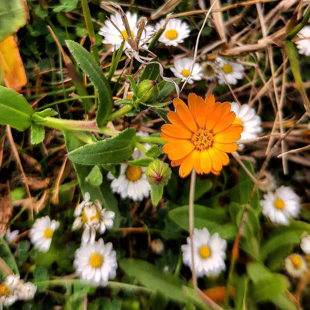 LgJoint's tweet image. italianlandscape #ig_hdr_dreams #new_photoitalia #tarantoview #italia360gradi #like4like #… ift.tt/2lDRtmJ