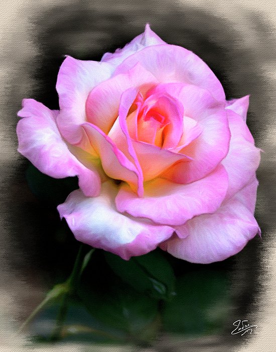EndresArt's tweet photo. New artwork for sale! - "Pink Rose Faux Pastel" - https://t.co/FzrZ59VEYj @fineartamerica https://t.co/p7IVZUjgX3