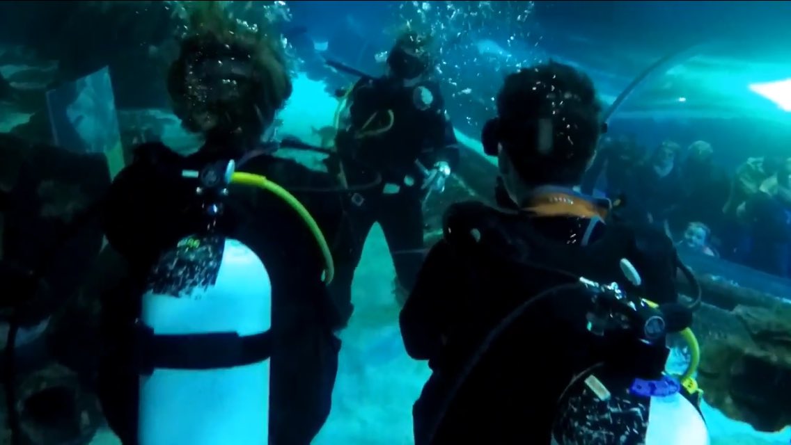 OpheliaMCFLY_GD's tweet image. I was so scared for you guys! 😬🙈🦈 #ChrisAndDannyVlog @ChrisBourne @DannySimm