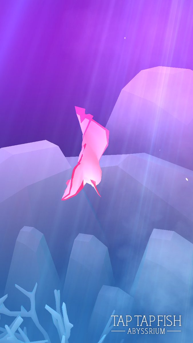 titeijohnny's tweet photo. My Pink Juvenile Pinnate Spadefish:) 
#taptapfish
Download: https://t.co/lWPGDQU68U https://t.co/TLA5K0nh3e