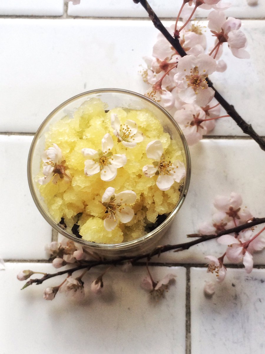 Little Bird Bistro tweet media