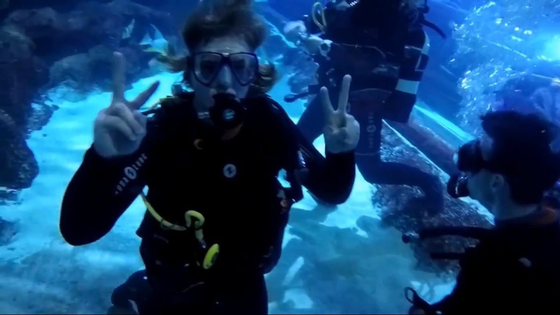 Chrisbournepro2's tweet image. 🦈 #ChrisAndDannyVlog 🦈 I was really worried what I was about to view, but OH MY GOSH! Phenomenal, fascinating and beautiful to see ☺️