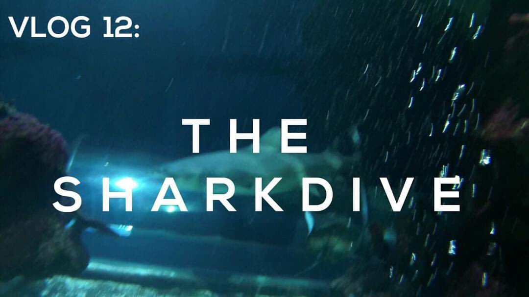 Chrisbournepro2's tweet image. 🦈 #ChrisAndDannyVlog 🦈 I was really worried what I was about to view, but OH MY GOSH! Phenomenal, fascinating and beautiful to see ☺️