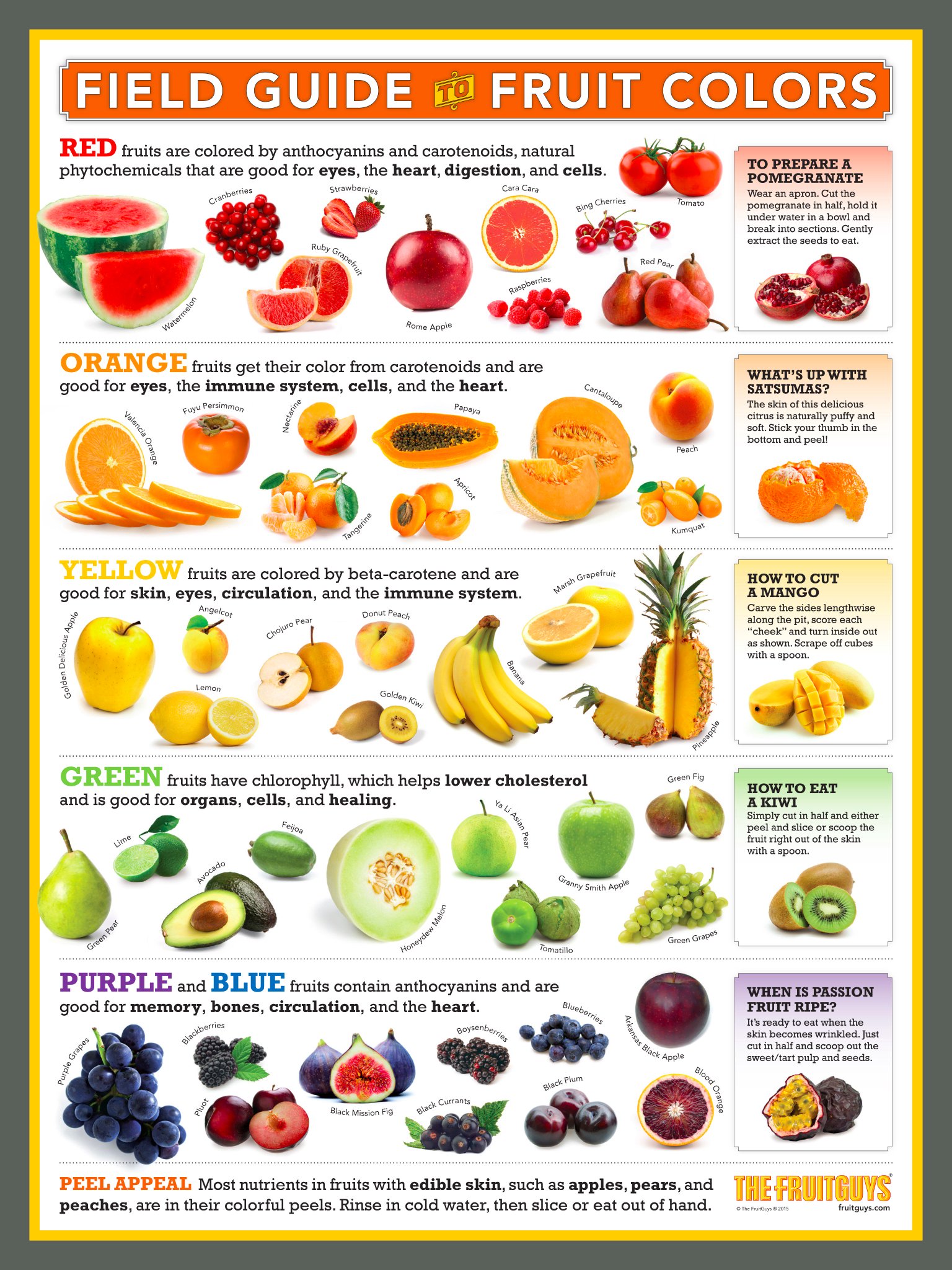 Field Guide to Fruit Colors - The FruitGuys