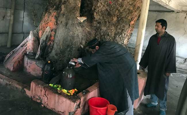 ndtv's tweet photo. Kashmiri Muslims in Bandipore celebrate #MahaShivratri, want Pandits to return https://t.co/2tswBZoXEX https://t.co/XCRbTPlqYQ